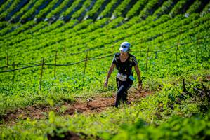 BIB: 3136
                            <button type="button" onclick="openModal(19161543)" class="btn btn-primary btn-sm float-right btn-popup" data-toggle="modal" data-target=".modal-high-quality">
                        <i class="fas fa-shopping-cart"></i> Add to Cart
                    </button>
                                            <button type="button" onclick="isThisMe(19161543, true)" class="btn btn-success btn-sm float-right btn-popup btn-isme hidden" data-toggle="tooltip" data-placement="bottom" title="นี่คือรูปของคุณใช่ไหม คลิกที่นี่เพื่อเอาเข้าอัลบั้ม">
                        <i class="fas fa-plus"></i> Add to album
                    </button>
                    <button type="button" onclick="isThisMe(19161543, false)" class="btn btn-warning btn-sm float-right btn-popup btn-isnotme hidden">
                        <i class="fas fa-ban"></i> Remove from album
                    </button>